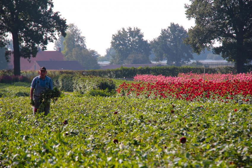 Vitaal buitengebied Zundert_458